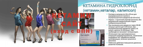 дмт Дмитровск