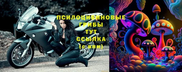 мет Дмитриев