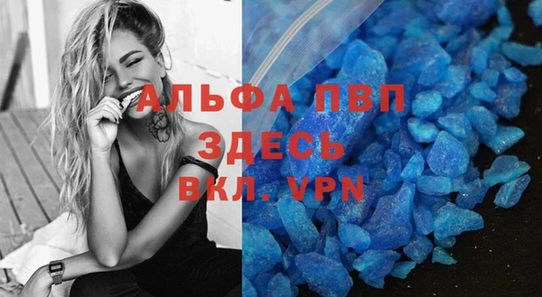 дмт Дмитровск