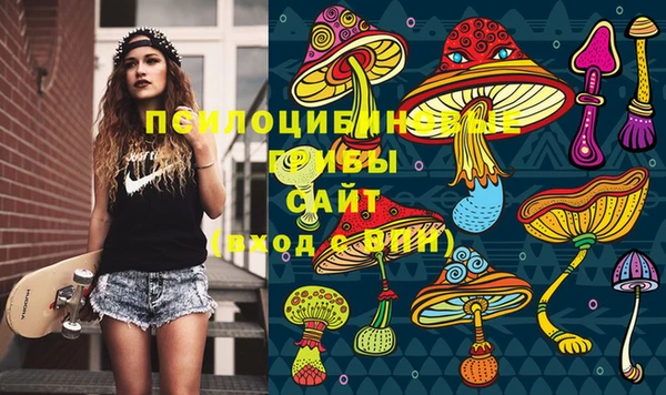 мет Дмитриев