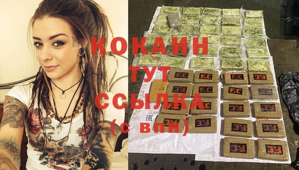 дмт Дмитровск