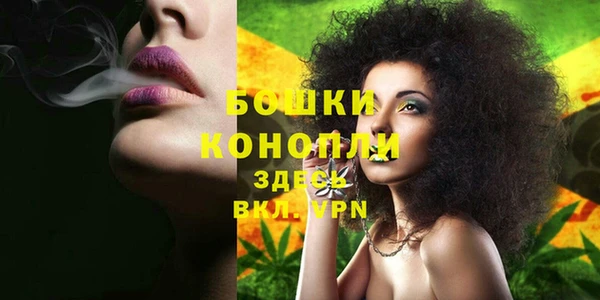 дмт Дмитровск
